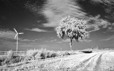 Le test détaillé de la pellicule Infrared Rollei